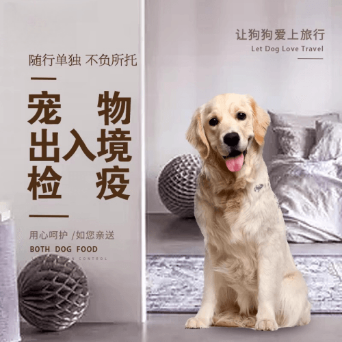 海淀区宠物托运到哥伦比亚猫狗宠物入境规定和