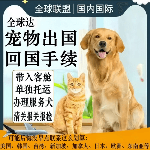 海淀区宠物托运到柬埔寨宠物入境规定和要求