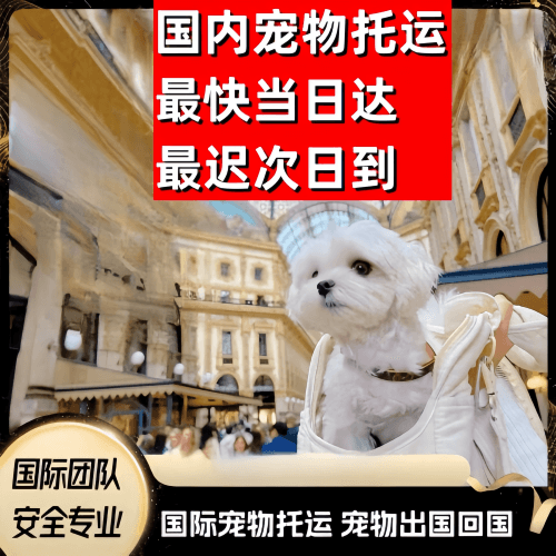 海淀区到澳大利亚（澳洲）宠物入境规定和要求