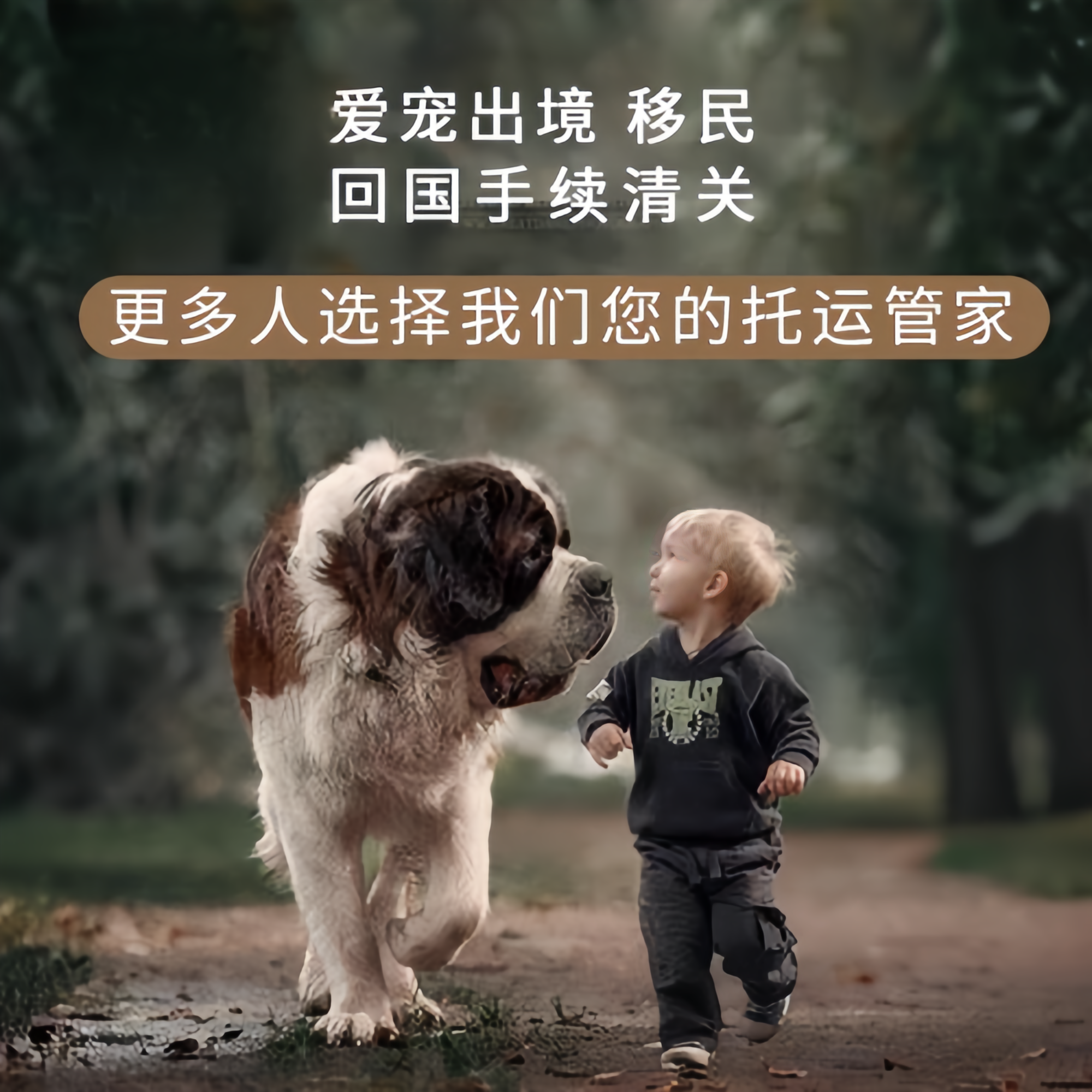满财海淀区宠物全球达宠物托运在遵守入境目的地政策的条件