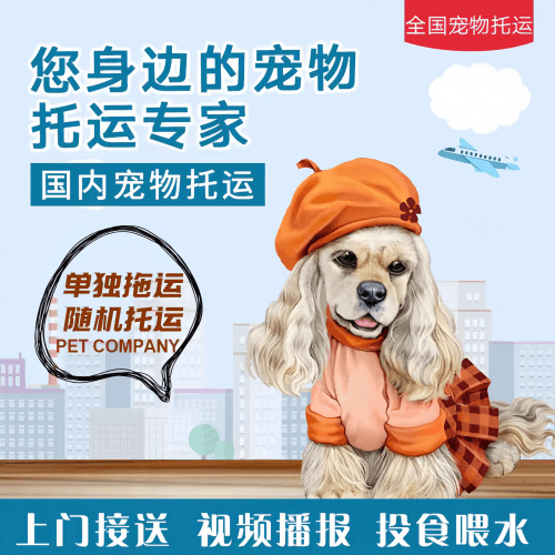 满财海淀区宠物全球达宠物托运作为专业的宠物运输代理机构